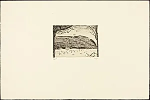 Paysage des vosges