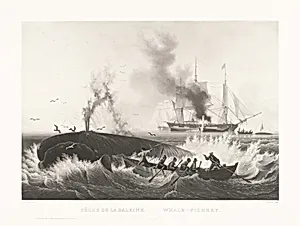 Pêche de la Baleine, Whale-Fishery by Friedrich von Martens, after Louis Garneray, published by Goupil & Vibert
