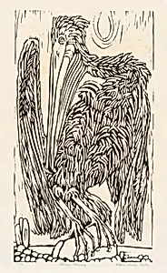 Pelican Preening
