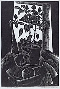 Pepper Plant