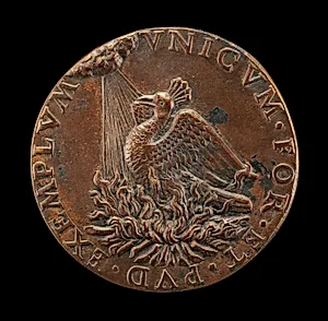 Phoenix on a Pyre Looking at the Sun [reverse]