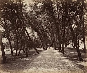 Picnic Grounds