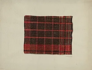 Piece of Wool Plaid