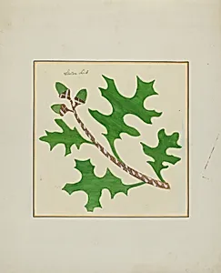 Pieced Autograph Quilt (1 Piece)