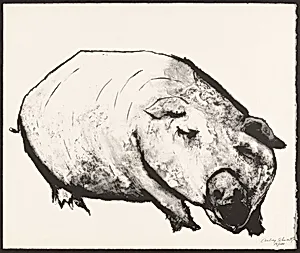 Pig