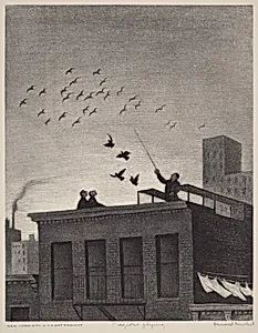 Pigeons Flying