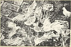 Pigeons on Cobblestone