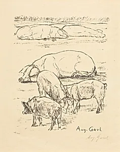 Pigs