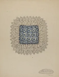Pin Cushion