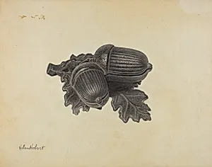 Pin Tray
