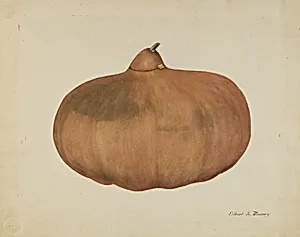 Pioneer Salt Gourd