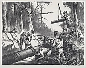 Pipes in the Forest