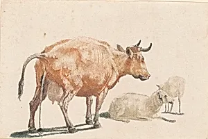 Pissing Cow and Two Sheep