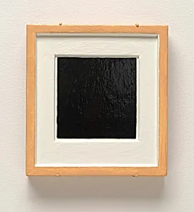 Plaster Surrogate