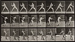 Plate Number 276. Baseball, batting by Eadweard Muybridge