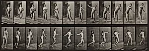 Plate Number 289. Cricket, round-arm bowling by Eadweard Muybridge