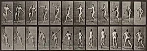 Plate Number 290. Cricket, overarm bowling by Eadweard Muybridge