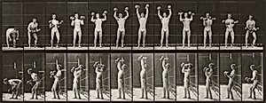 Plate Number 322. Lifting and letting down two 50-lb. dumbbells by Eadweard Muybridge