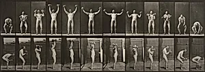 Plate Number 325. Lifting and holding two 50-lb. dumbbells by Eadweard Muybridge