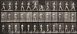 Plate Number 359. Charging bayonet by Eadweard Muybridge