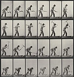Plate Number 386. Miner, using a pick by Eadweard Muybridge