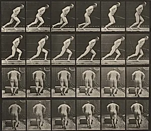 Plate Number 393.  Pushing a garden roller by Eadweard Muybridge