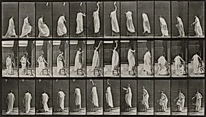 Plate Number 459. Stepping on chair, reaching up and descending by Eadweard Muybridge