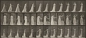 Plate Number 462. Pouring a libation on the ground and drinking from a goblet by Eadweard Muybridge