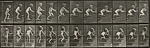 Plate Number 474. Child walking up stairs, kneeling and reaching for vase by Eadweard Muybridge