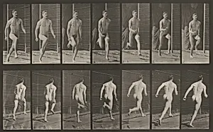 Plate Number 66. Running by Eadweard Muybridge