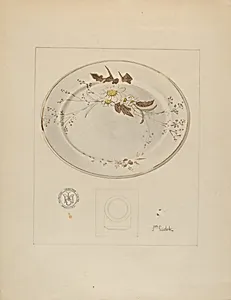 Platter