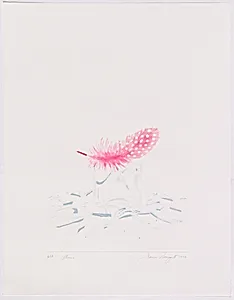Plume
