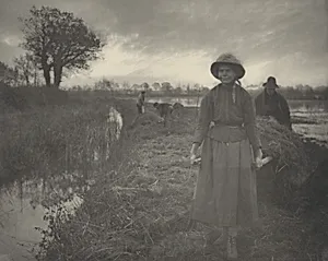 Poling the Marsh Hay