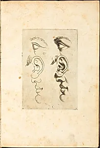 Print from Drawing Book