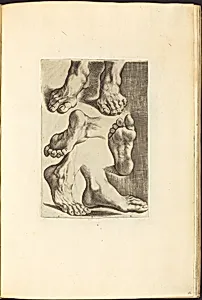 Print from Drawing Book