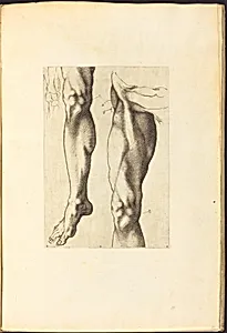Print from Drawing Book
