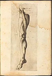 Print from Drawing Book