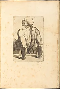 Print from Drawing Book