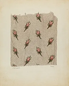 Printed Cotton