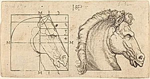 Profile Study of Two Horse Heads by Sebald Beham