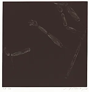 Puppet Series #3