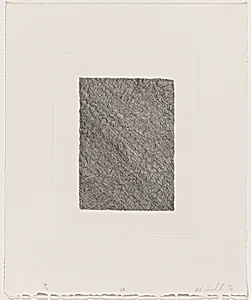 Quantum Gray IV