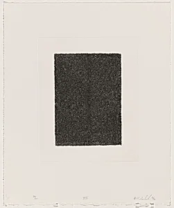 Quantum Gray XVI