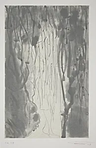Rainbow - Grey Seale
