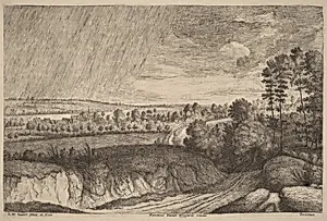 Rainy Landscape