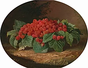Raspberries