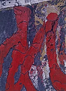 Red Paint, Japan