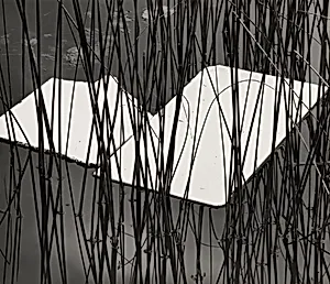 Reeds and Plastic, Norway