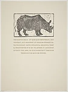 Rhinoceros