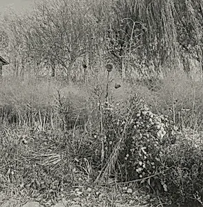 Richland County, Wisconsin